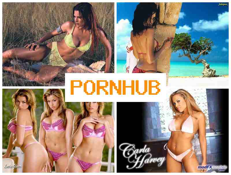 LORNHUB 💚 Webcam Utility
