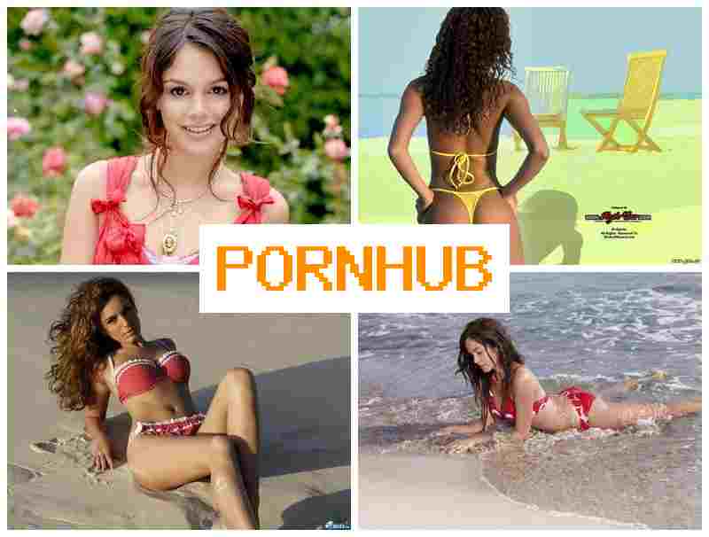 PPRNHUB 💏 Porno Arab Webcams
