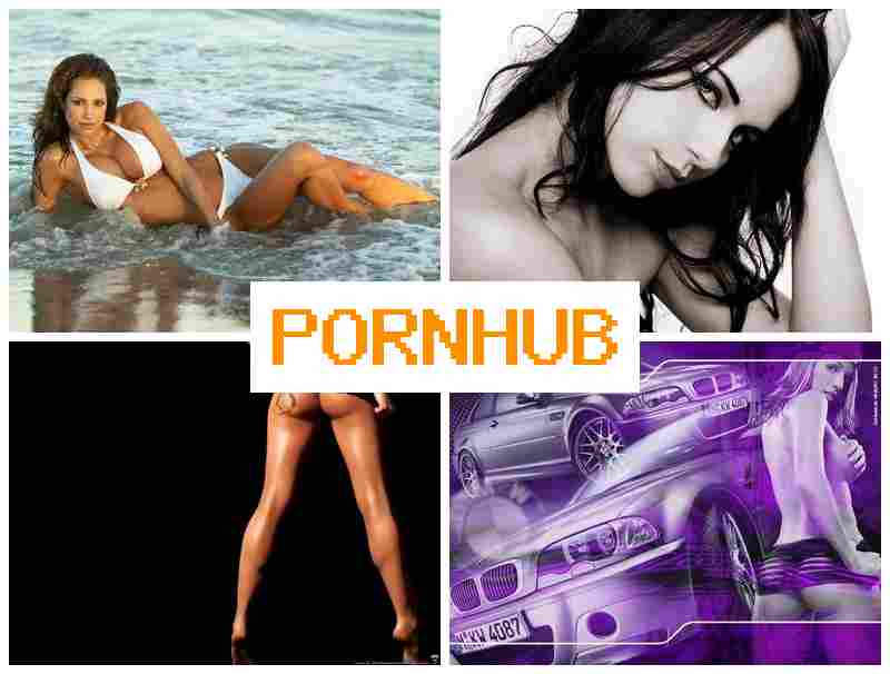 PPRN HUB 🔔 Videos Webcam, Teen Anal